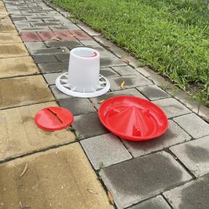 Automatic Poultry Water Feeder With Durable Plastics Accessories