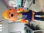 Fireproof Inflatable Advertising Products Cartoon Sumo Wrestling Suits With Foam