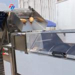 580KG Fruit and vegetable cleaning equipment continuous cleaning machine root
