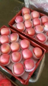 Buy cheap Round Farm Fresh Apples product