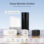 Tuya Smart WiFi Mini Power Adapter Portable 5V Micro USB & Type-C Charger Plug