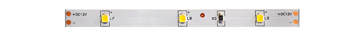 Cuttable Single Color LED Strip Light Tape Outdoor Double Row 24V Warm White Cool White