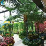 Alsophila Spinulosa Artificial Palm Trees With Fiberglass Trunk Easy Install