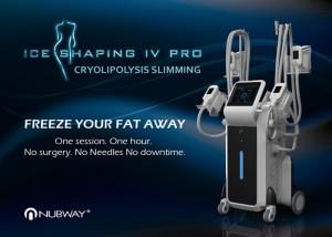 Buy cheap cryo fat freezing cooling body slimming machine for fat removal sculpture product