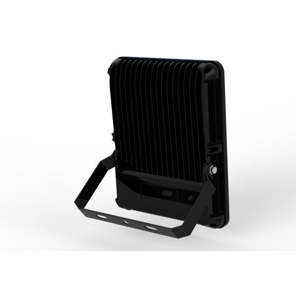 100W 150W high power led flood light lamp integrated design 2 pcs led cob chip IP66 meanwell driver 3 years warranty