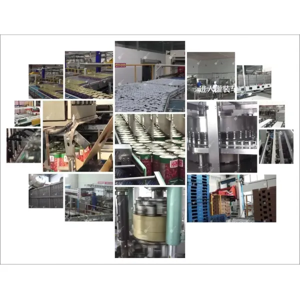 Fully Automatic Custom Packing Machine for Versatile Applications in E-Commerce and Industrial Packaging