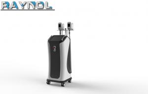 Vertical 2 Handpieces Cryolipolysis Slimming Machine for Cellulite Reduction