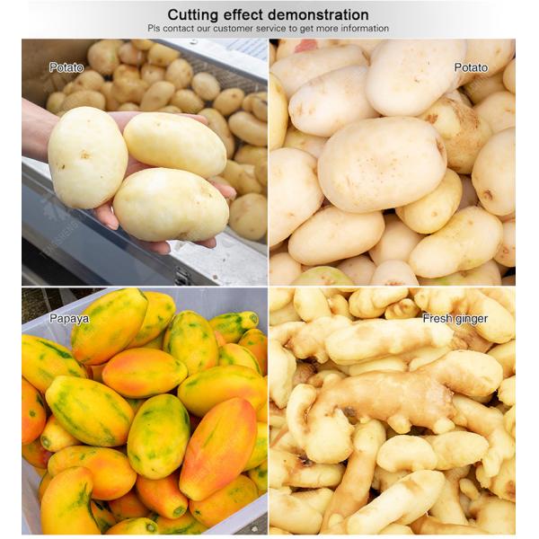 Brush washing and hoisting production line Ginger Potato Carrot Taro Sweet potato Yam processing production Machine