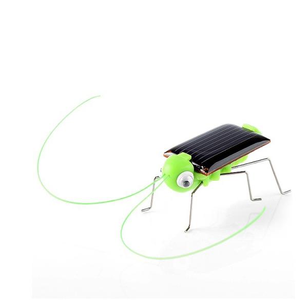 ECO Friendly Green Solar Powered Grasshopper For Kids Customized Logo