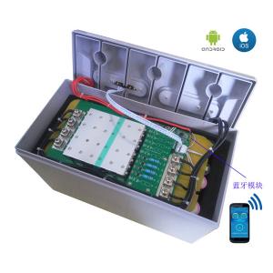China 1280Wh Lithium Ion Battery , 12v 100ah Smart BMS Lifepo4 Battery on sale