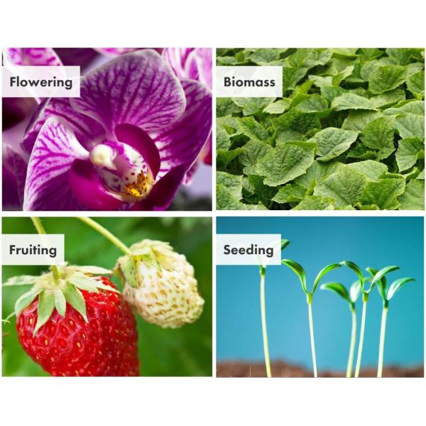 Epileds High Lumen 3W 3535 IR SMD 740nm 745NM Ir Cob Led