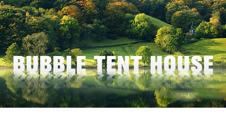 Ox Shape Amusement Park Advertising Inflatable Transparent Dome Tent Event Promotional Bubble Tent