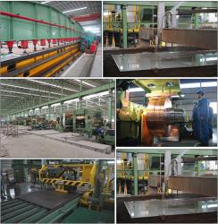 Shandong Chasing Light Metal Co., Ltd.