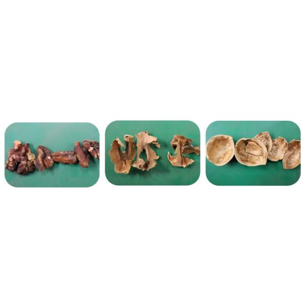 Walnut Kernel Sorting Machine Intelligent Multi-Angle Imaging Modular Design Smart Self-Learning High-Efficiency