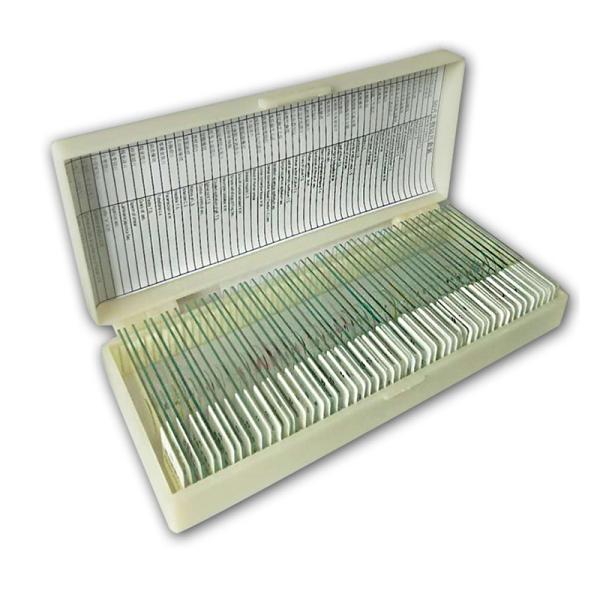 Mixed Plant Animal ODM Microscope Biology Prepared Slides 50pcs SET