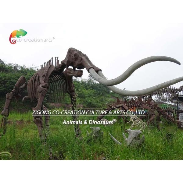 weather reistance Real Size Replica Animal Skeletons Mammuthus Model