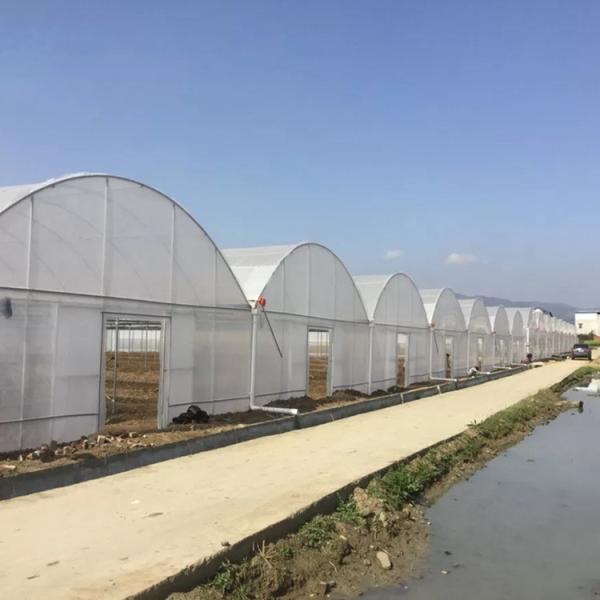 Heavy Duty 9.0m Span Plastic Film Greenhouse With Ventilation System
