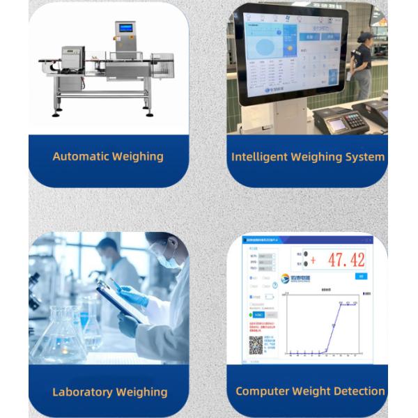 High Sensitivity Electronic Balance Scale Communication MODBUS-RTU/ASCII Code Free Protocol