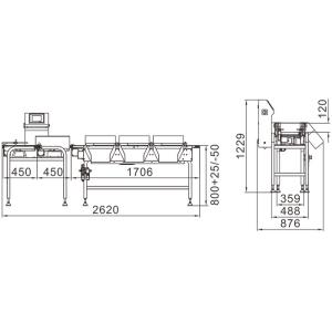 1000G Conveyor Agricultural Check Weigher Machine