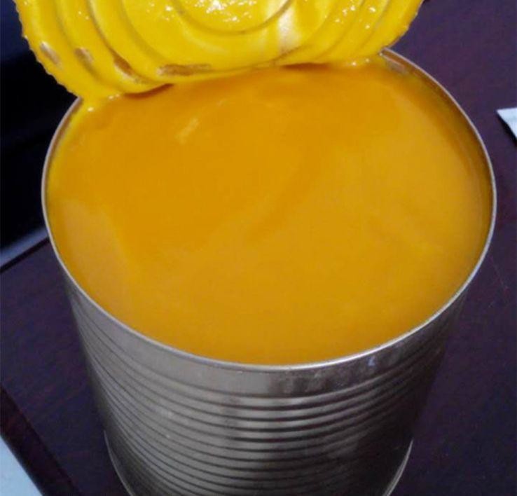 Buy cheap Siemens Electronic Control Mango Jam Making Machine 10T/H SUS304 product