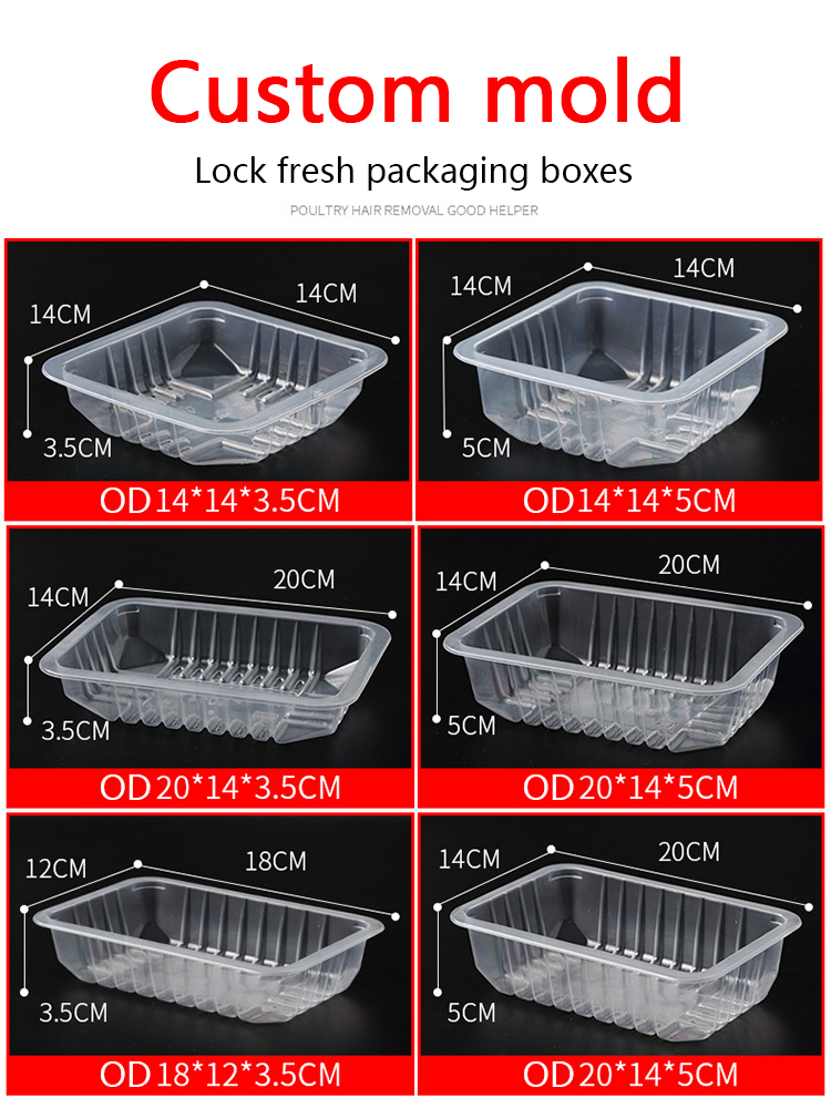 Stainless steel large commercial Box Sealer 2 Cups Sealing Machine Tape Fully Automatic Box Strapping Machine