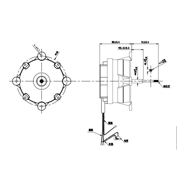 AC Induction Motor 230V CCW 2600RPM 135W Used For Roast Chicken Machine