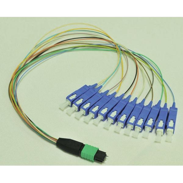 single connector 4, 8, 12, 24 Fiber MPO - LC Fiber Optic Patch Cord