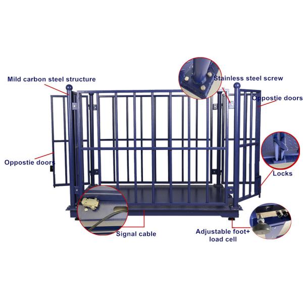 Customized Color Livestock Weighing Scales for Farm Electronic Floor Animal Scale 300kg Capacity