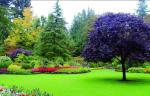 Anti-UV Landscaping Synthetic Grass Turf High Temperature Resistance