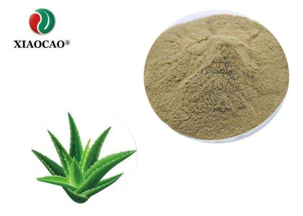 Quality HPLC Test Organic Freeze Dried Powder , Aloe Vera Extract Powder for sale