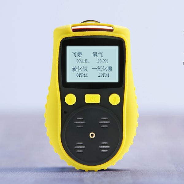 Mining LPG Gas Leakage Detector CE ATEX Certificated for CO H2S O2 LEL