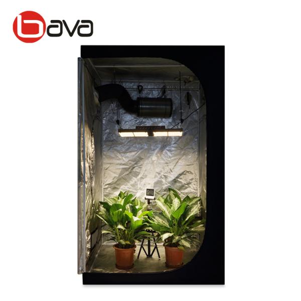 1.5x1.5 Qb288 LM301H 3000k Samsung Cob Led Grow Lights