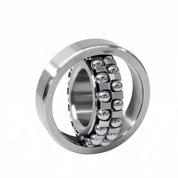 1204K 1305K 2205K 2210K 2306K 2320K Self-aligning Ball Bearing for High Load Capacity
