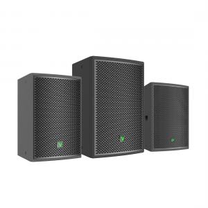 China Portable PA Speaker System 300W 10 Inch Two-Way Passive Speaker on sale