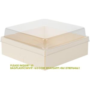 17 Ounce Square Straight Wooden Containers - Containers Sold Separately, Clear