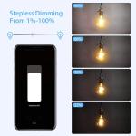 400w Voice Control Smart LED String Lights Dimmer