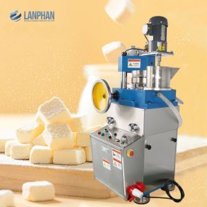 Multi-Stamping Rotary Tablet Machine ZP17E Tablet Press Medicine Powder
