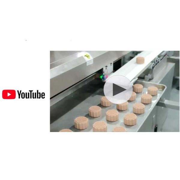 200PPM Baozi Making Machine Automatic Steamed Stuffed Bun Machine