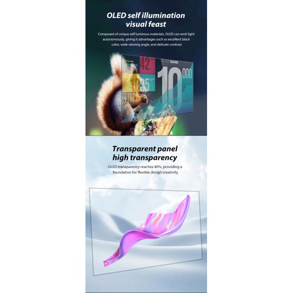 OEM ODM Transparent OLED Screen , 55 Transparent OLED Display