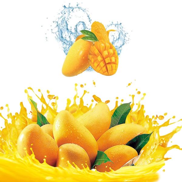 Industrial Automatic Mango Jam Making Machine For Fruit Processing