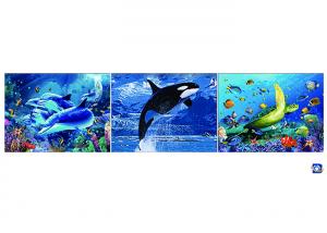 Buy cheap Wall Art 3D Lenticular Picture Flip Cute Cats And Dolphins With 12X17 Inches product