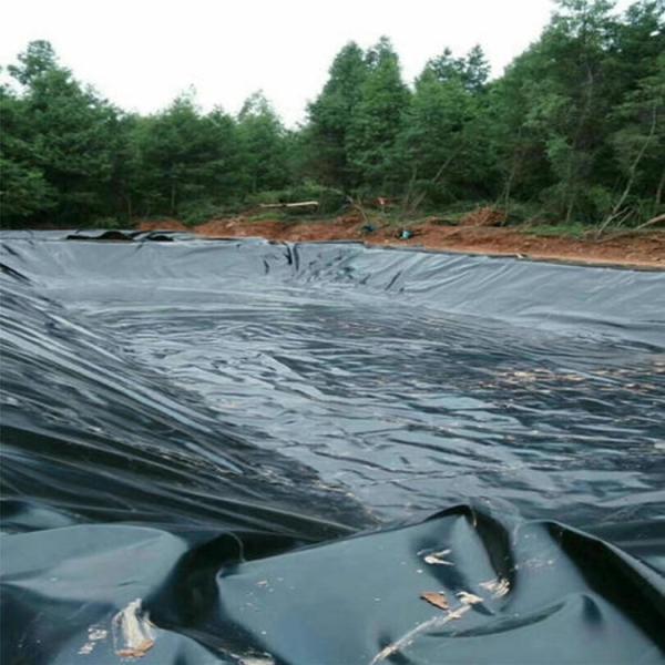 1-6m Width Geomembrane for Anti-seepage Biogas Tank on Pig Farm Foundation and Highway