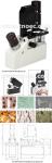 Phase Contrast Inverted Optical Microscope