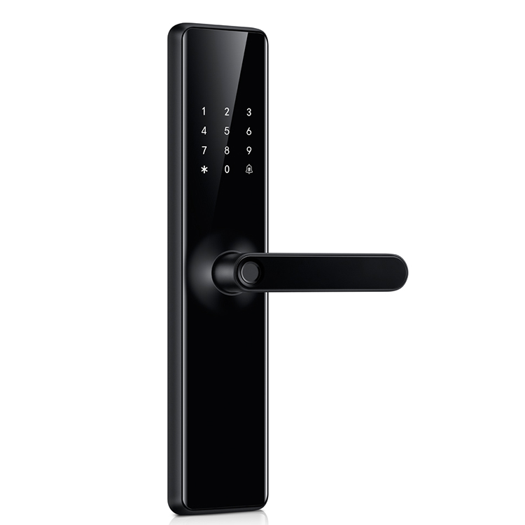 Waterproof Tuya Wifi Door Lock With Fingerprint And Password