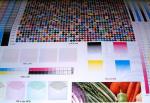 Automation Paper Cup Flexo Printing Machine High Registration Accuracy Flexo