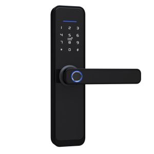 China Zigbee Fingerprint Smart PadLock on sale