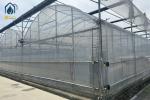 Multi Span Greenhouse Automated Hydroponic Greenhouse For Agriculture