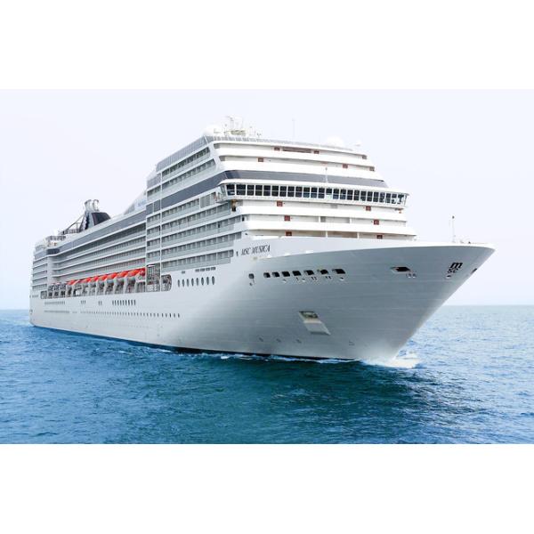 50mm Tungsten Carbide Scraper For Shipbuilding With Comfort Grip Handle