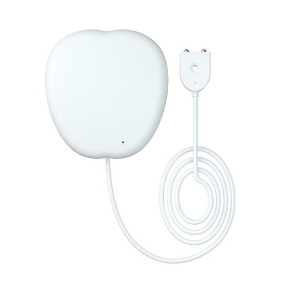 Quality Smart Home For Amazon Alexa Google Home App Remote Control Voice Commands Smart Wifi Wireless Water Leakage Sensor for sale