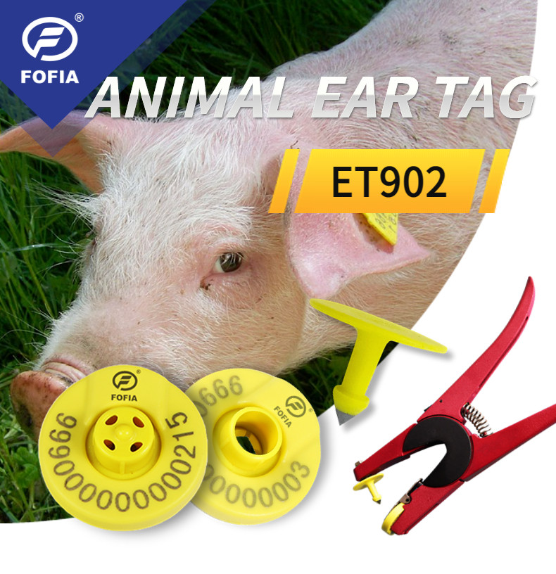 Electronic Ear Tags Custom Cattle Ear Tags The Ultimate Solution For Livestock Identification
